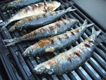 evenement fete du poisson - MARSOUINS BRETIGNOLLAIS